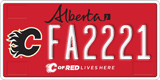 Alberta, Calgary Flames (FA1234)