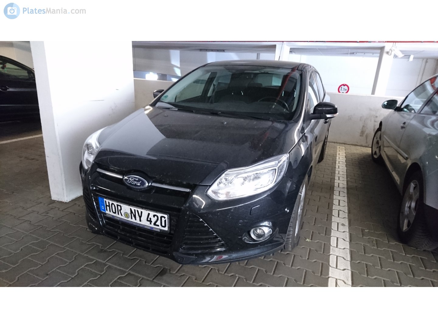 HOR NY 420, Ford Focus 