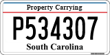 South Carolina, Property Carrying (P123456)