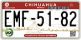 Chihuahua, Cars (AAA-00-00)