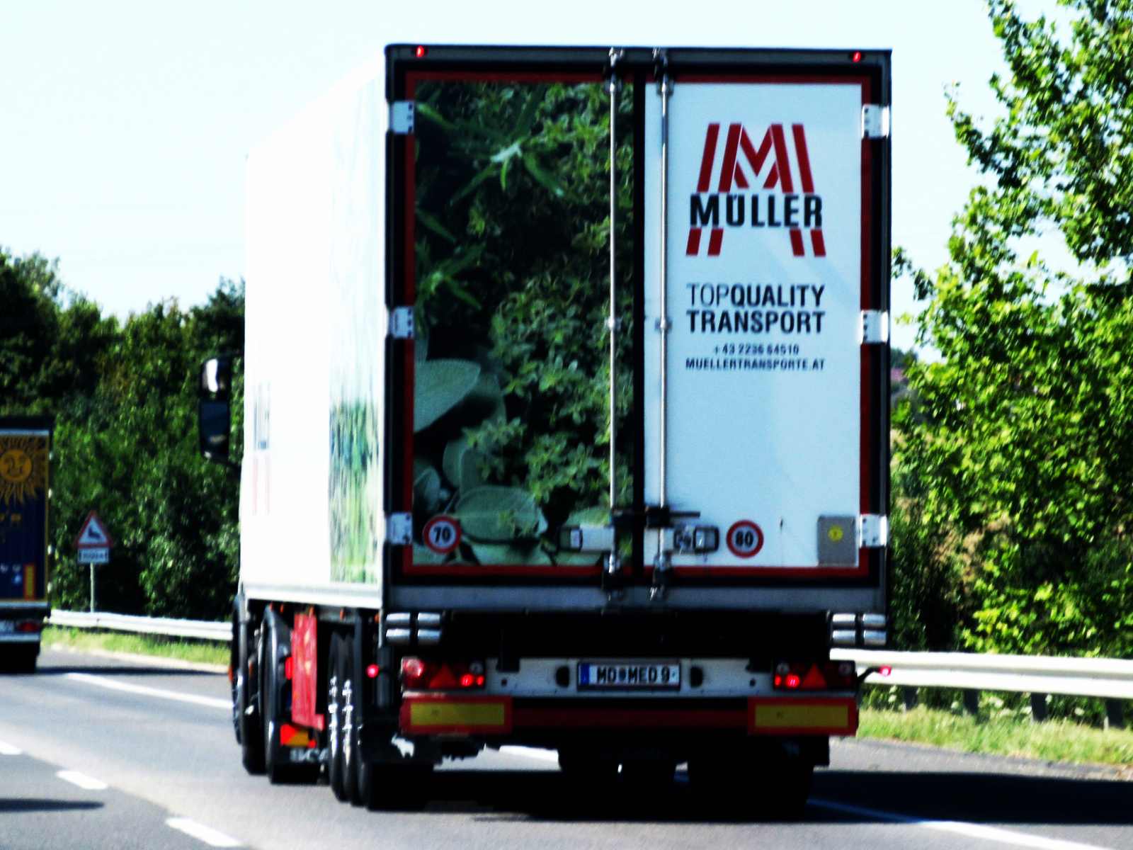 MD MED 9, Schmitz SKO 