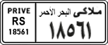License plate of Egypt, Cars (1999)
