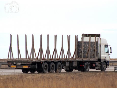 BK 2161 XP, Hangler SPEL-Series