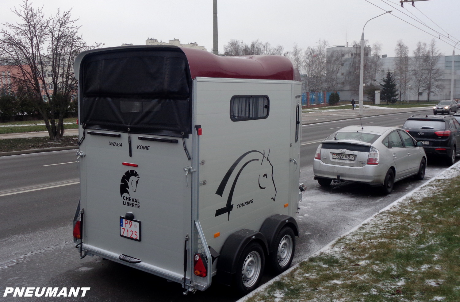 P9 7125, Cheval Liberte 