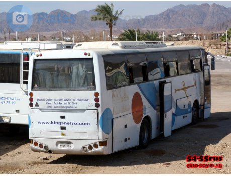 ‎٢٣٨٩‎ ‎ط ج ل‎, MAN Kastour K-Series