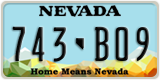 Nevada, 123-A45