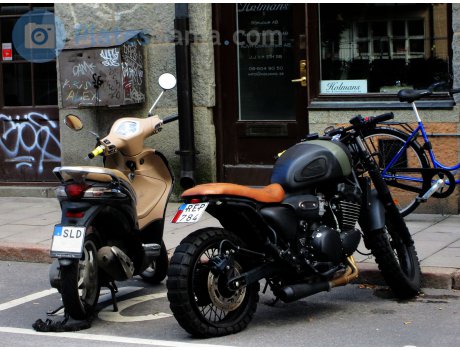 REP 784, Triumph Motorcycles Legend