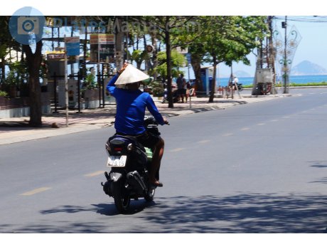 79-N1 479.15, Yamaha Nouvo