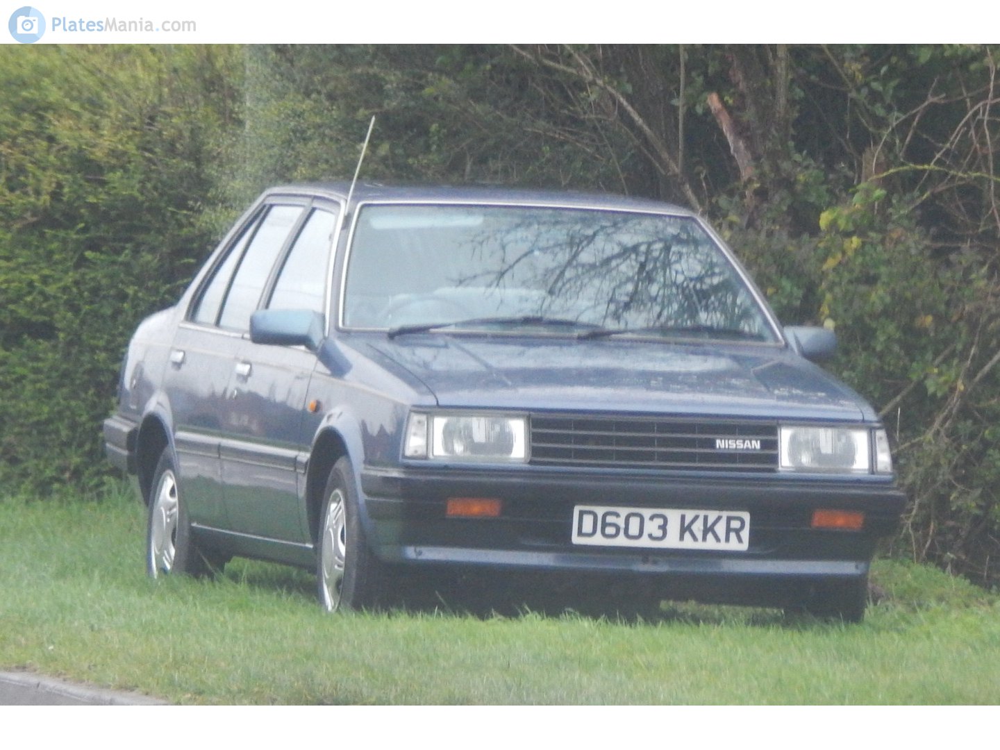 D603KKR, Nissan Sunny 5th gen 4-door Sedan (B11), 1981–1985 (–1996 for others)