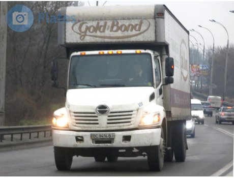 BC 8416 BI, Hino 600 Series