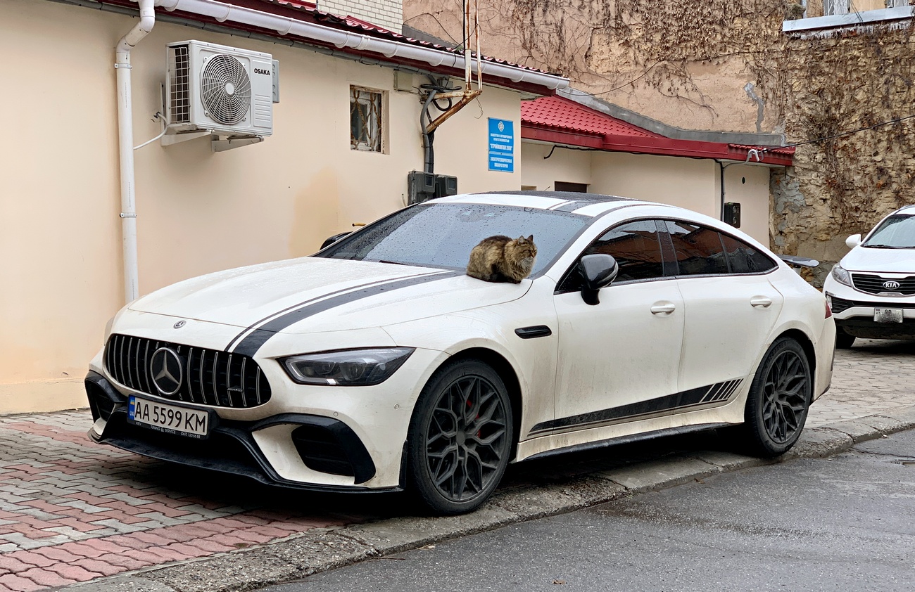 AA 5599 KM, Mercedes-Benz AMG GT 4-door Coupé 1st gen (X290), 2018–