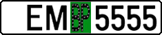 License plate Belarus, Provisional