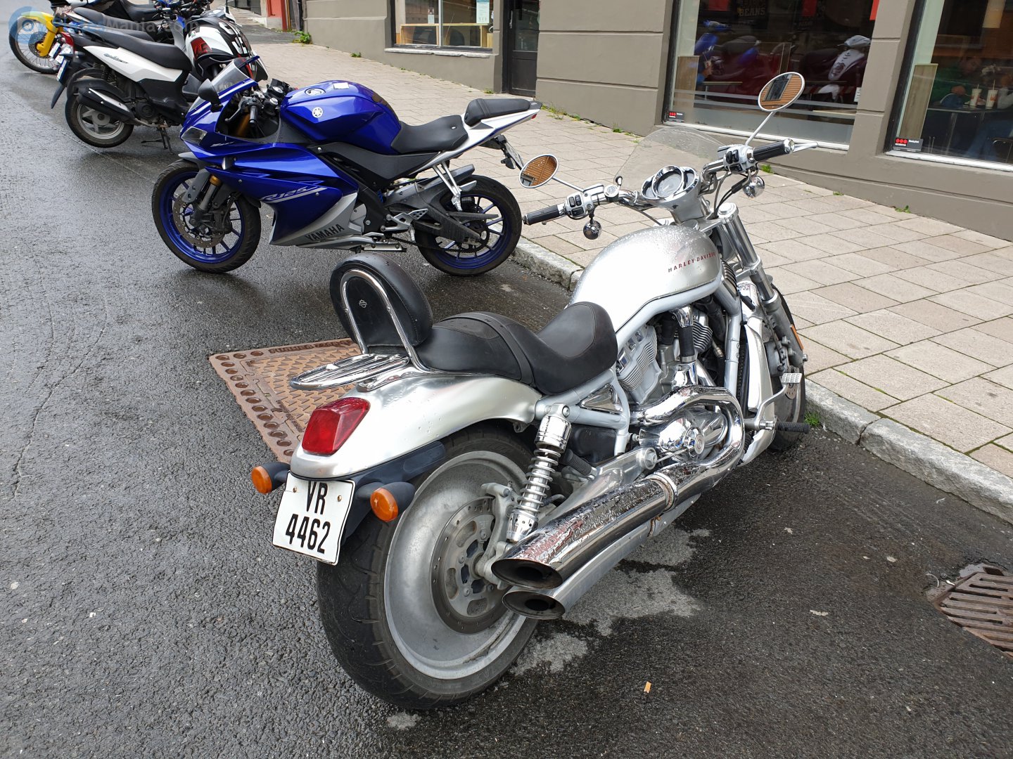 VR 4462, Harley-Davidson VRSC 