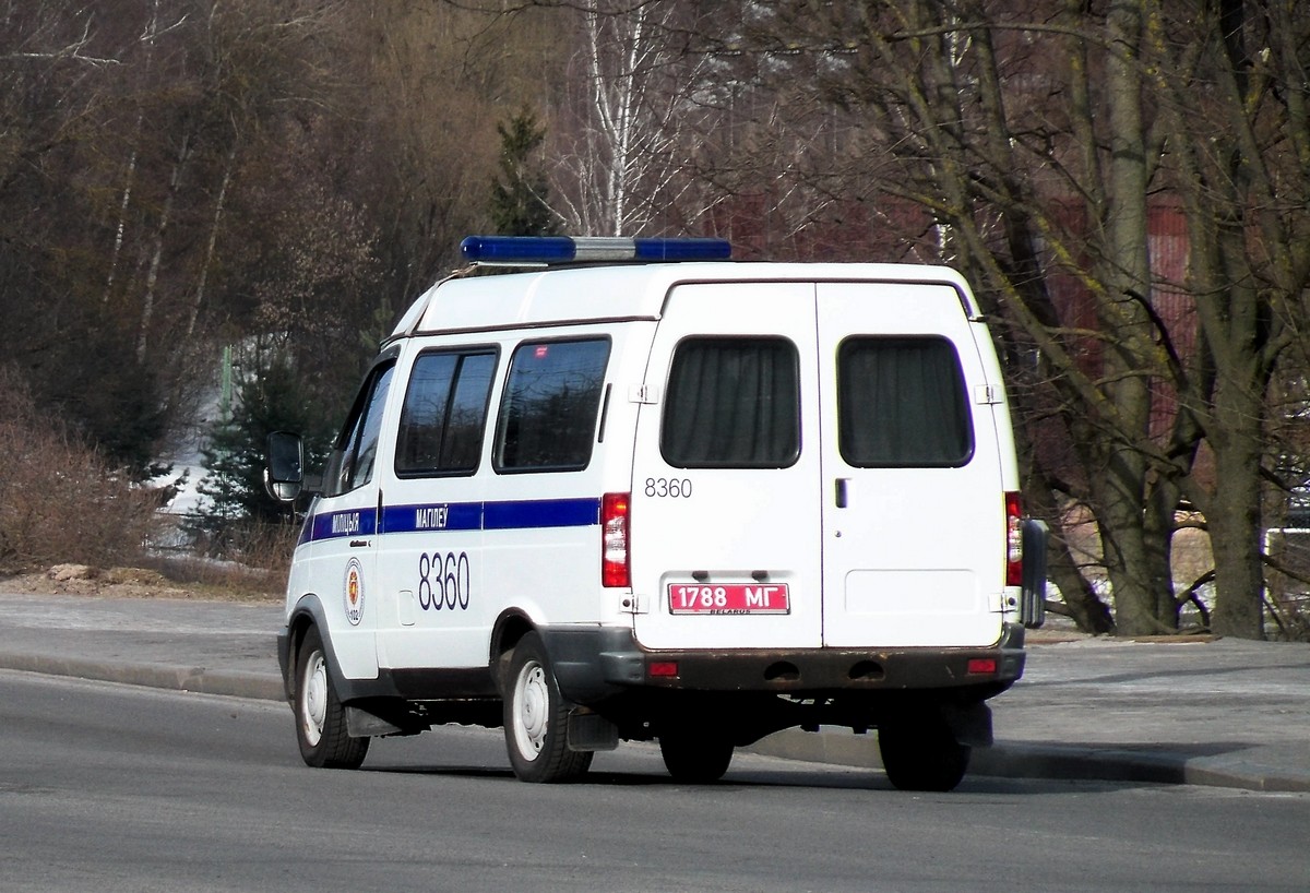 1788 МГ, GAZ Соболь (Sobol) 2217 Minibus, facelift, 2003–