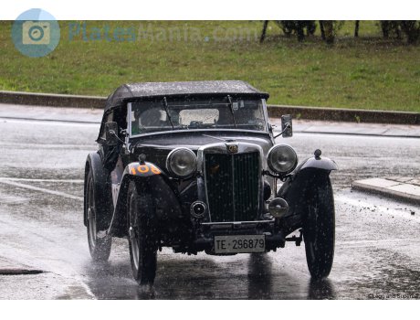 TE 296879, MG TB