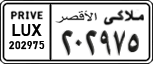 License plate of Egypt, Cars (1999)
