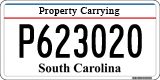 South Carolina, Property Carrying (P123456)