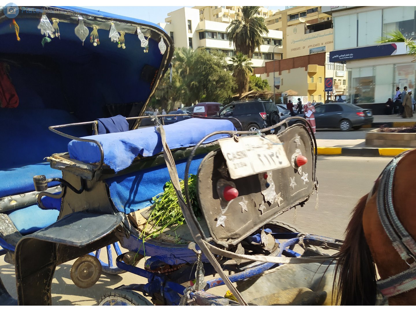 ٢١٣٤, Cars (1999) 