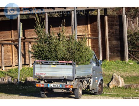 EJ 509 GV, Giotti Victoria Gladiator Pick Up