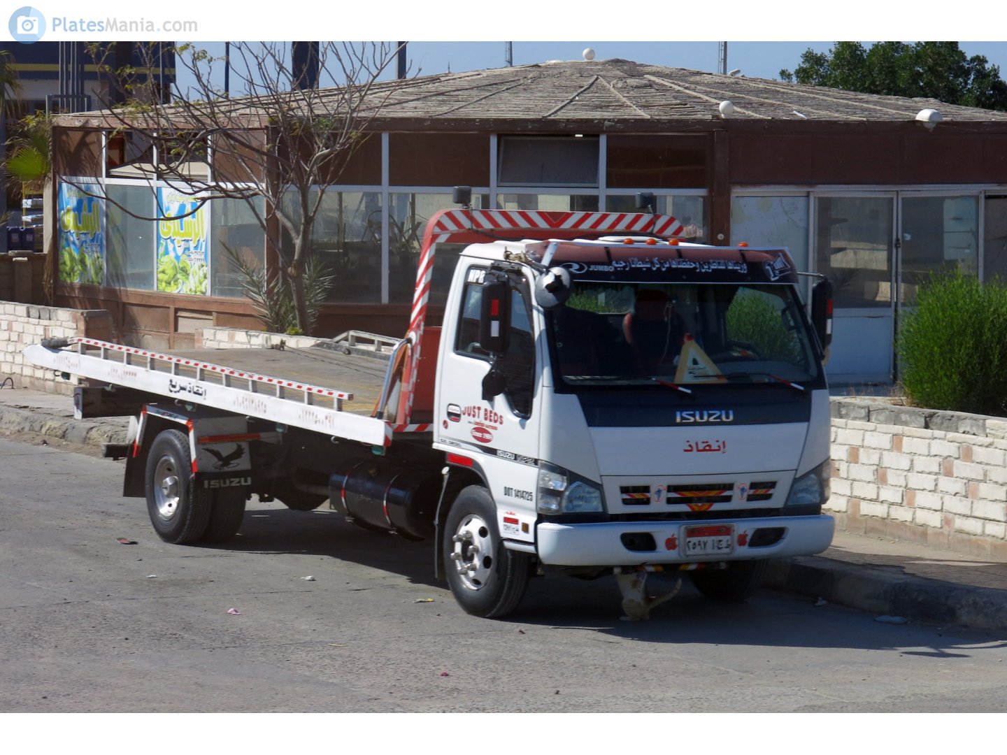 ٢٥٩٧ أجط, Isuzu N-Series 