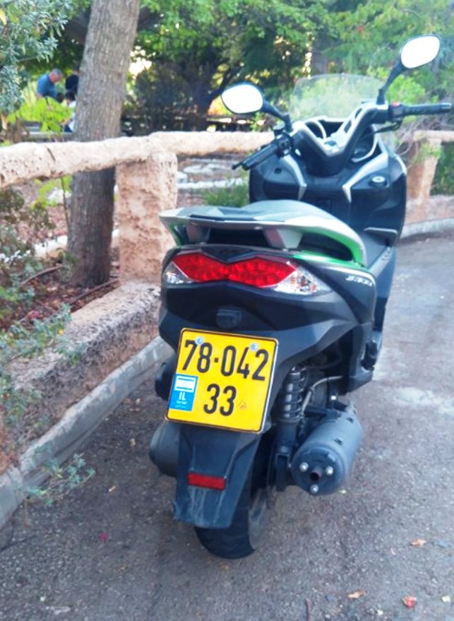 78-042-33, Kawasaki J300 