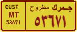 License plate of Egypt, Cars (1999)