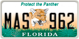 Florida, Specialty plates (XXX XXX)