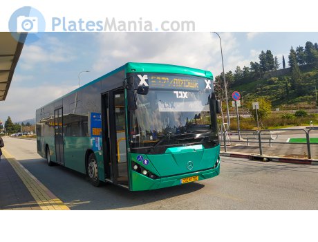 232-81-702, Merkavim Pioneer