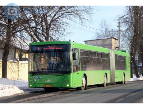 ае 550 60, MAZ 216