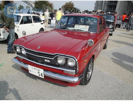 三河 530 ね 54, Prince Skyline