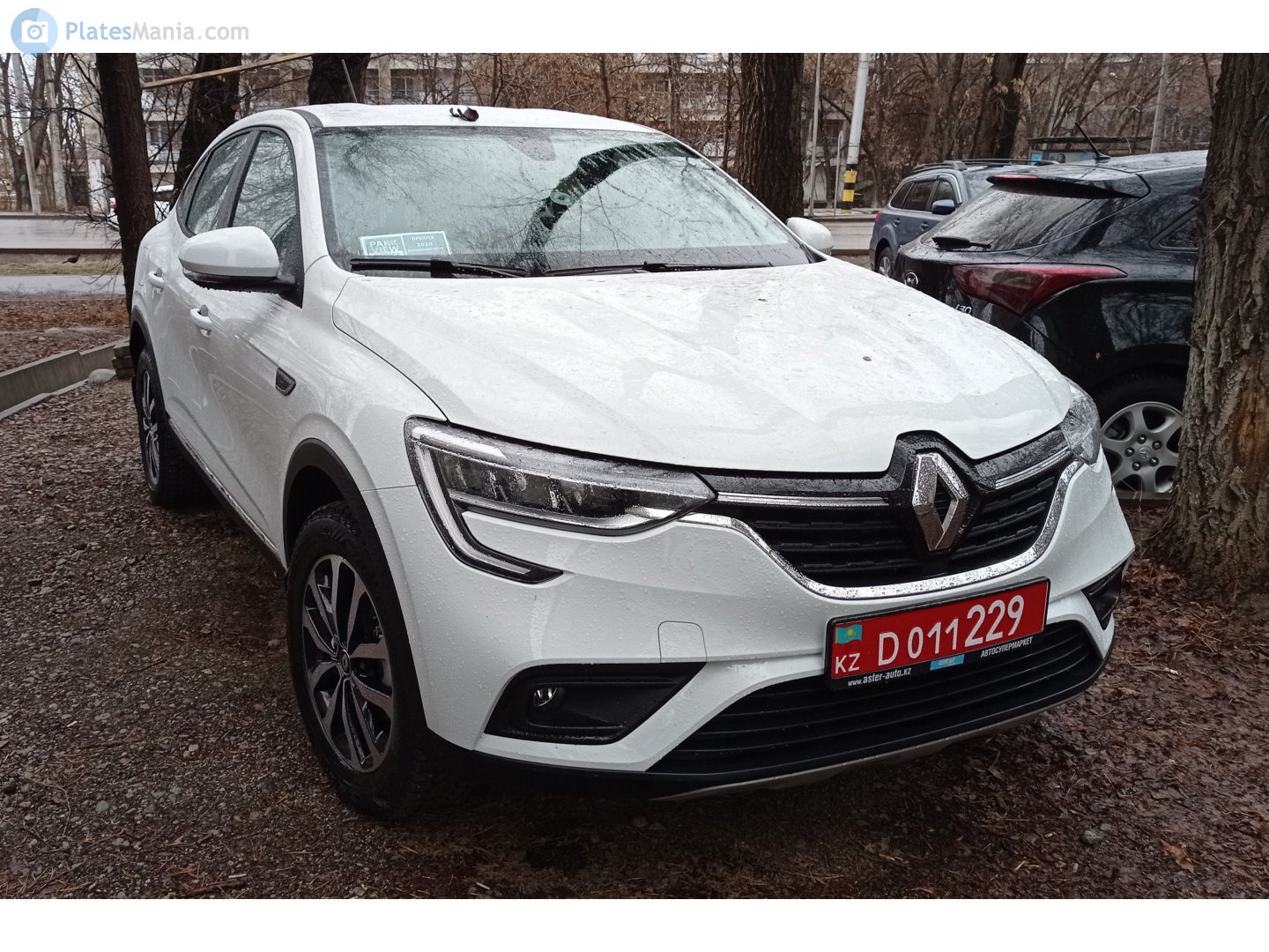 D 011229, Renault Arkana 1st gen (LJL/LJC), 2019–2023