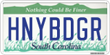South Carolina, Vanity Plates