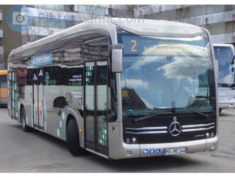 MA MB 144, Mercedes-Benz Citaro