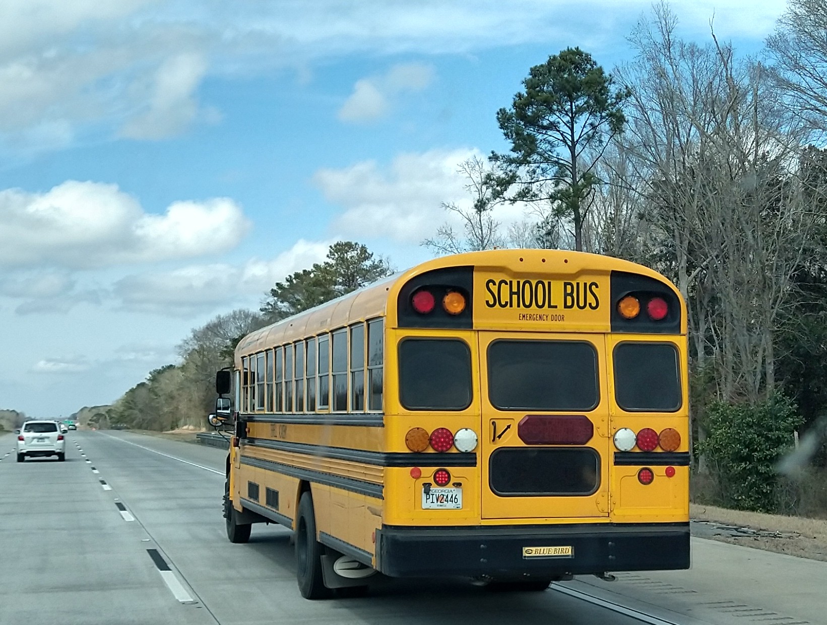 PIV2446, Blue Bird Vision 