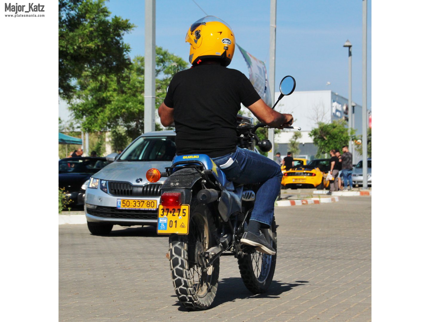 37-275-01, Suzuki TS Series 