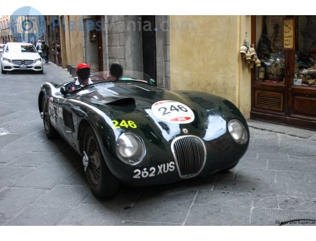 262 XUS, Jaguar C-Type