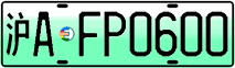 License plate of China, Electric vehicles