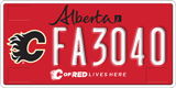Alberta, Calgary Flames (FA1234)