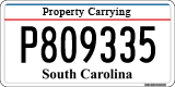 South Carolina, Property Carrying (P123456)