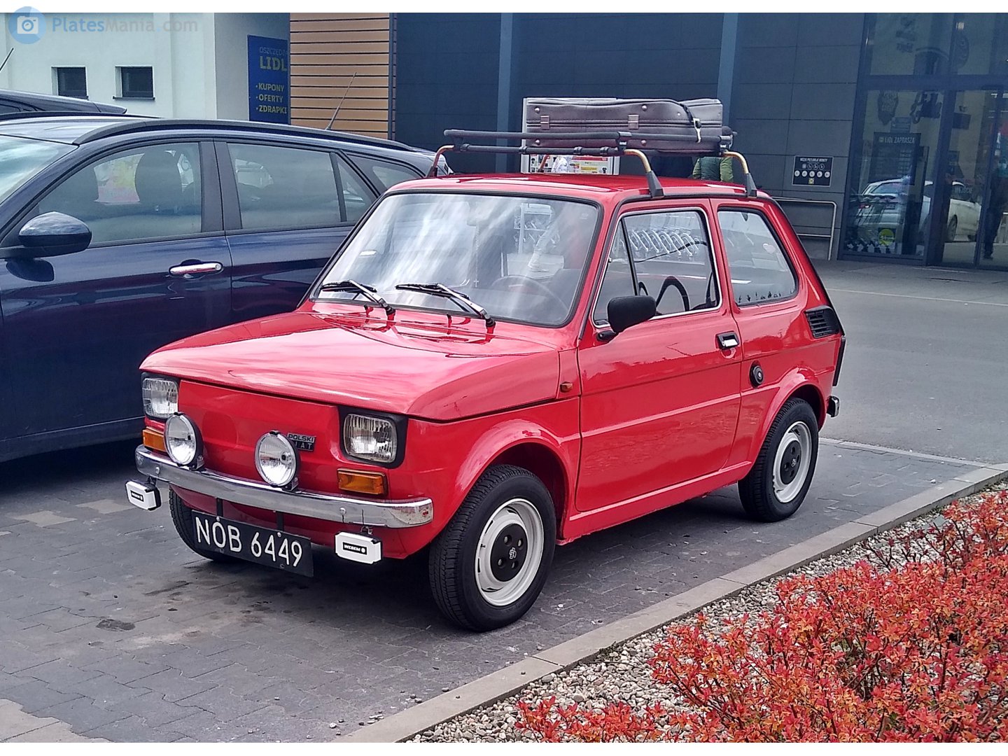 NOB 6449, Polski Fiat 126p 126p 600/650/FL, 1973–1994