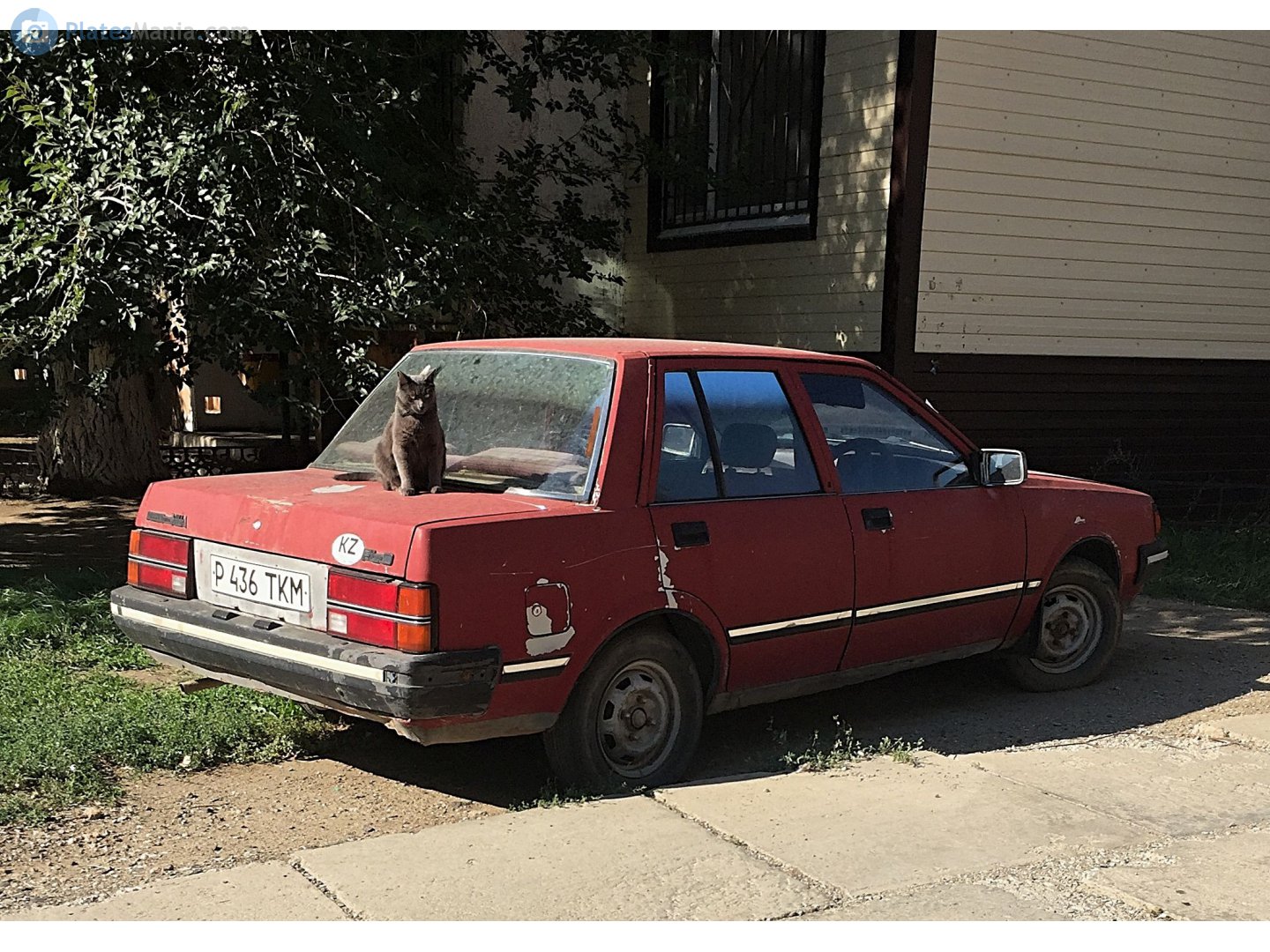 P 436 TKM, Nissan Liberta Villa 1st gen (N12), 1982–1986