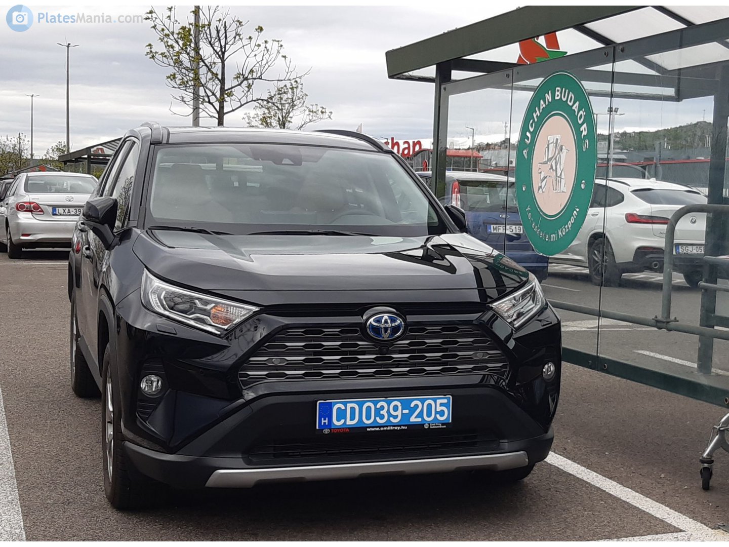 CD039-205, Toyota RAV4 5th gen (XA50), 2018–