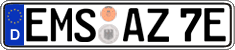 German license plate, Electric vehicles