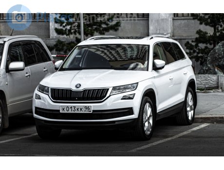 к013кк96, Skoda Kodiaq