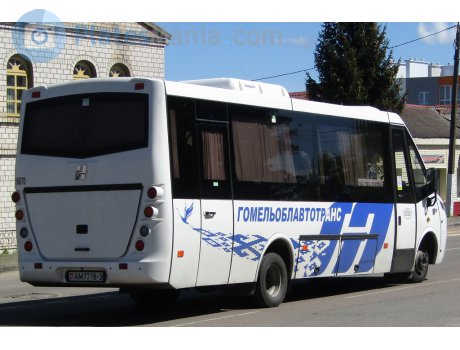 AM 7718-3, Neman 4202