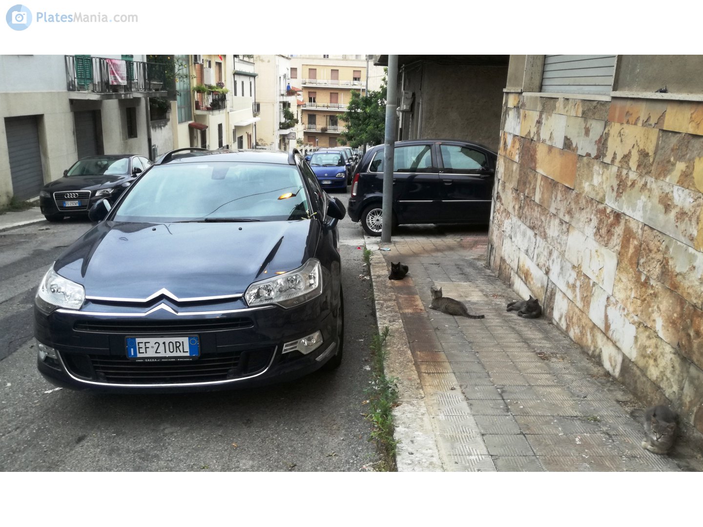 EF 210 RL, Citroёn C5 2nd gen Wagon (RD/TD), 2007–2017