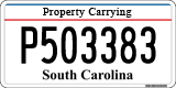 South Carolina, Property Carrying (P123456)