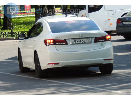 в999ое35, Acura TLX