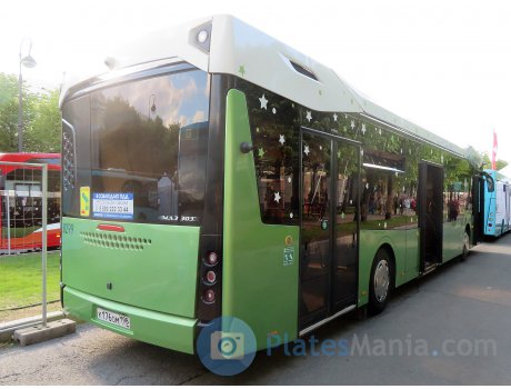 к176ом198, MAZ 303