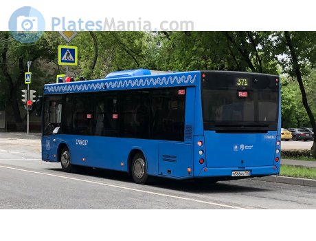 м566кк790, MAZ 206